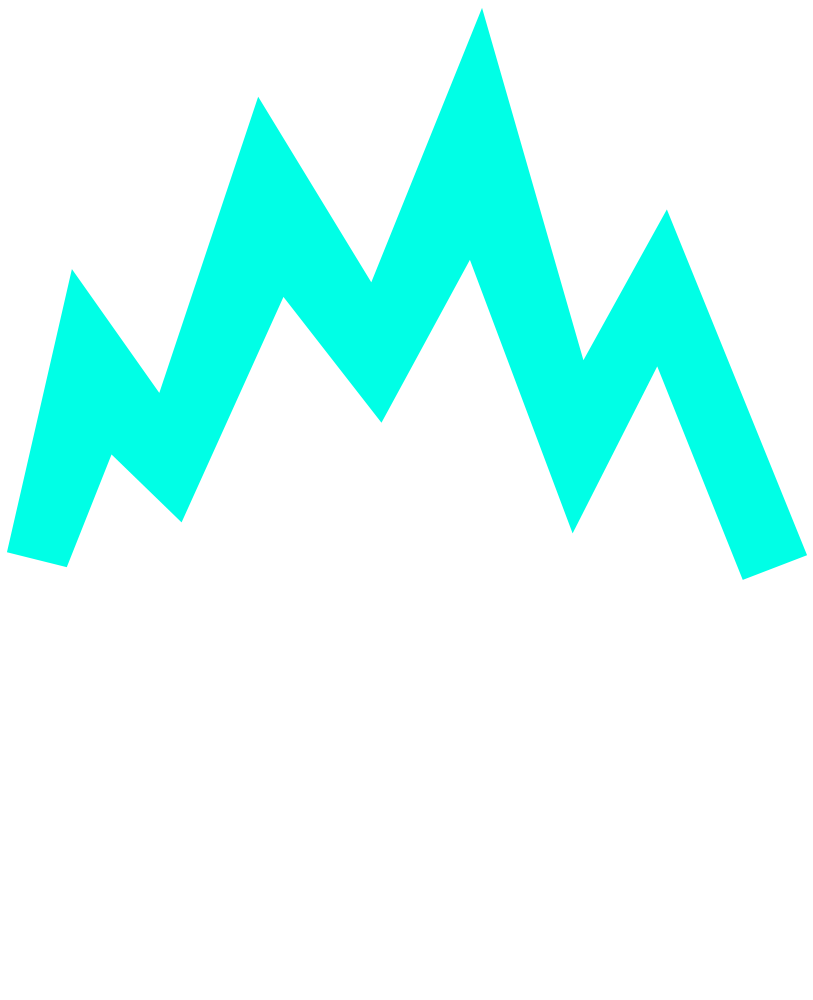 shape-tribecamp